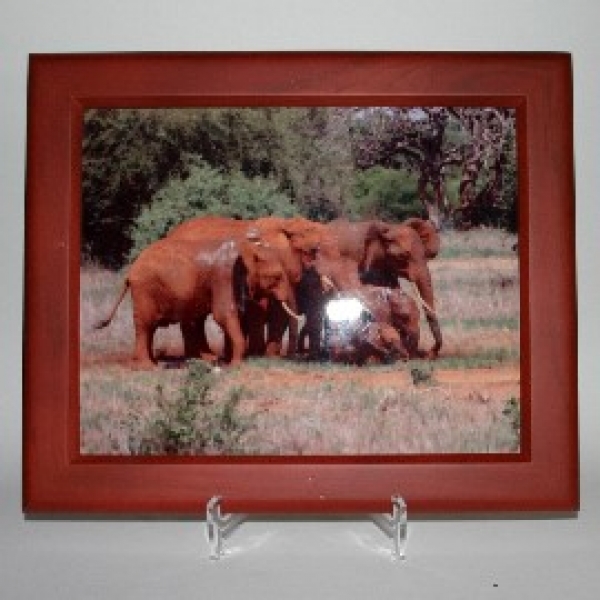 Picture frames for tile 20 cm x 25 cm